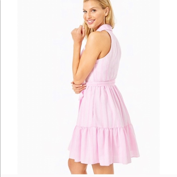 Lilly Pulitzer Trisha dress - Picture 8 of 10